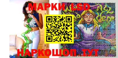 крисы Будённовск